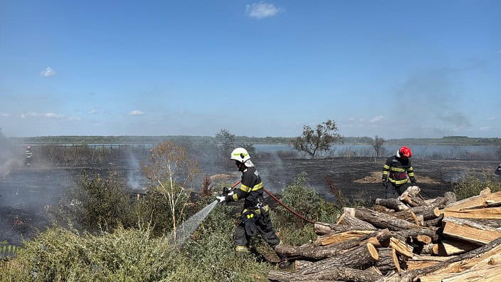 incendiu Murighiol