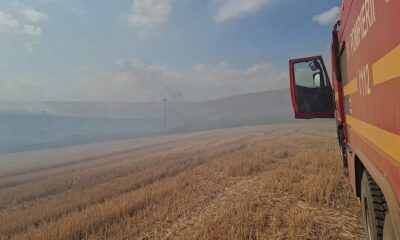 incendiu camp tulcea