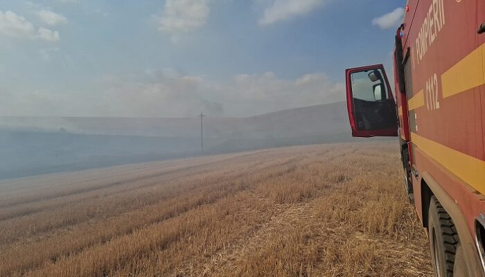 incendiu camp tulcea