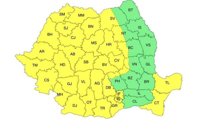 cod galben Dobrogea cod galben Dobrogea