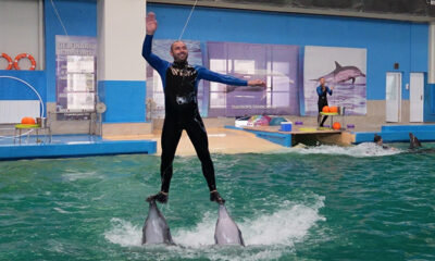 delfinariu