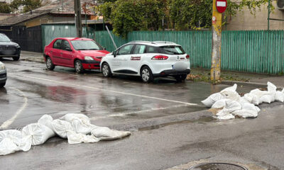 distrugere saci inundatii
