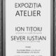 expozitie Ion Titoiu