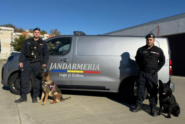 jandarmi caini masina