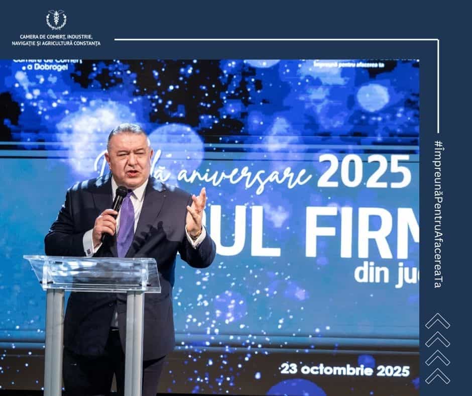 presedinte ccir ccina