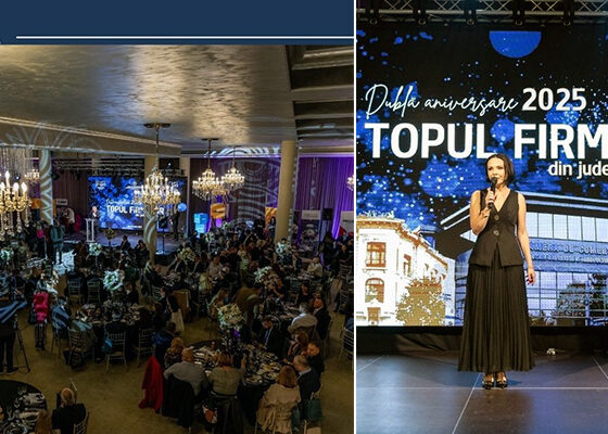 topul firmelor