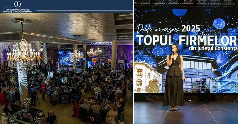 topul firmelor