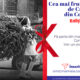 vitrina craciun