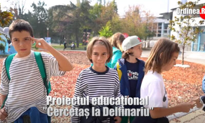 Cercetas la Delfinariu