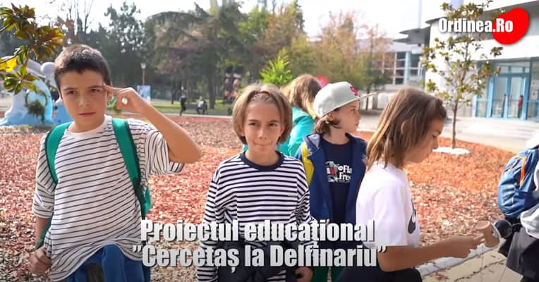 Cercetas la Delfinariu