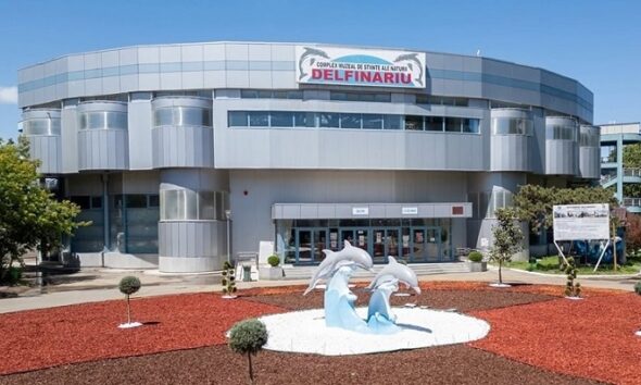 delfinariu