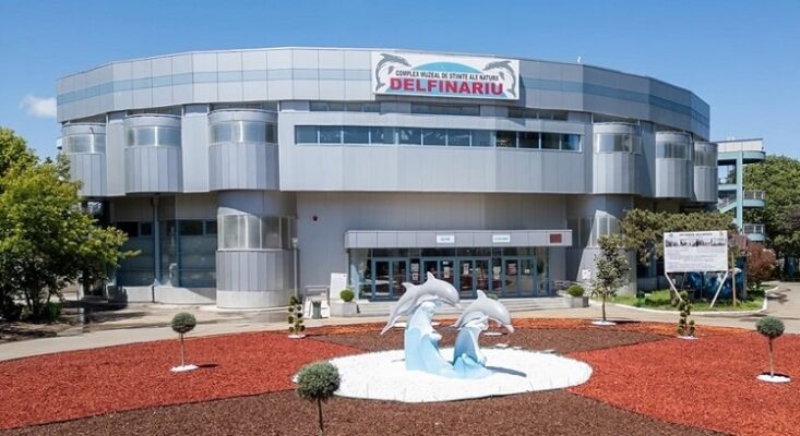delfinariu