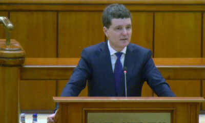 nicusor dan parlament