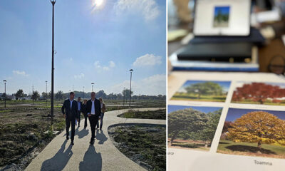 plantare copaci parc veterani