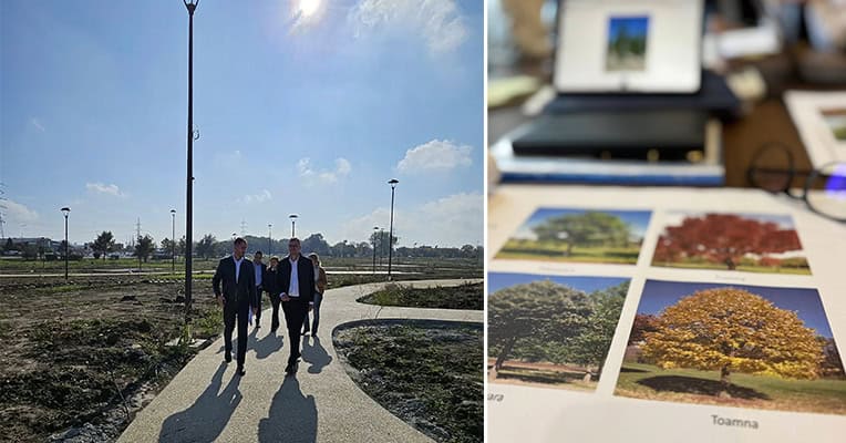 plantare copaci parc veterani