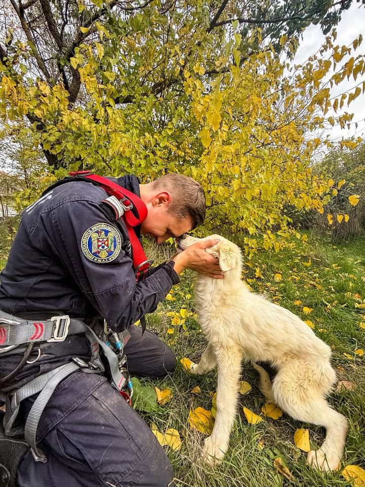 salvare catel fantana