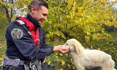 salvare catel fantana