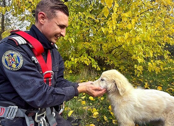 salvare catel fantana