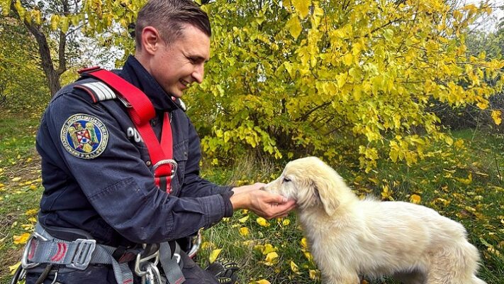 salvare catel fantana