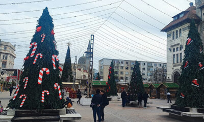 targ de craciun ovidiu