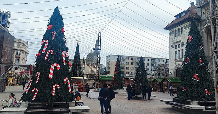 targ de craciun ovidiu