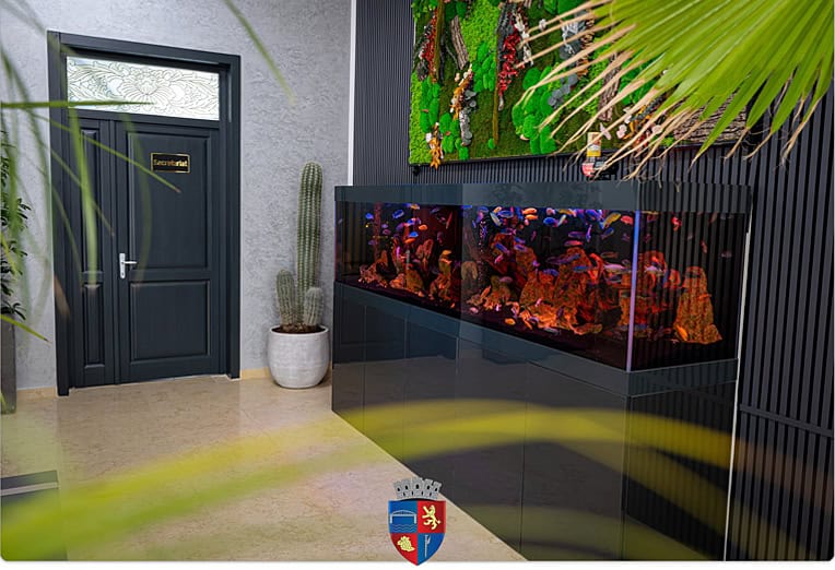 Acvariu si riflaj Primaria Medgidia Acvariu si riflaj Primaria Medgidia