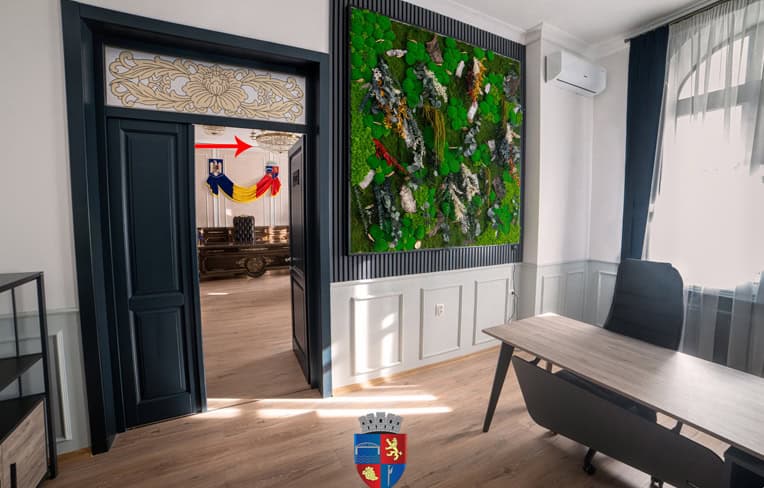 Cabinetul lui Valentin Vrabie foto Cabinetul lui Valentin Vrabie foto