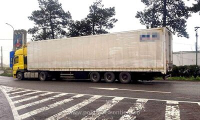 haine contrafacute negru voda