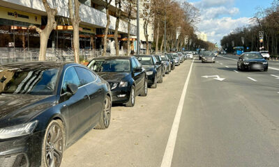 lapusneanu banda unica