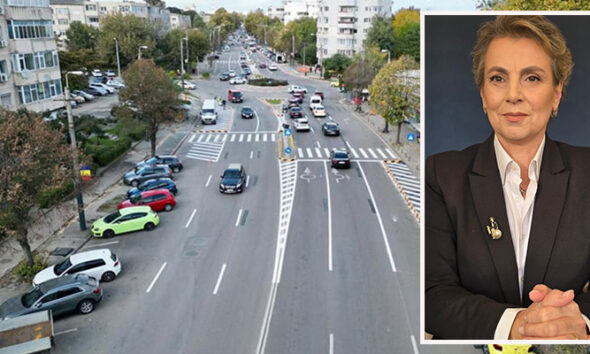 mirela doicescu proces