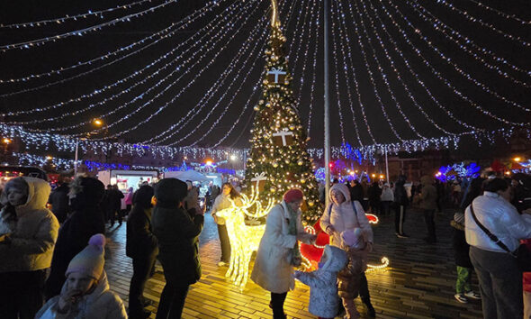 targ craciun navodari