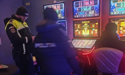 actiune politie murfatlar