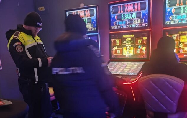 actiune politie murfatlar