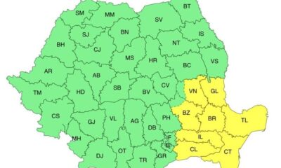 cod galben constanta