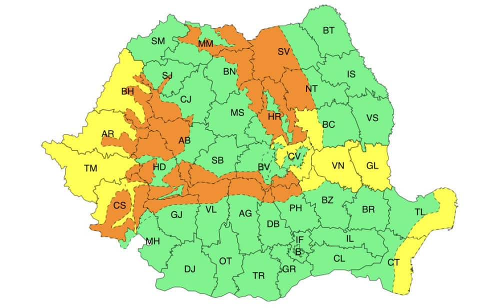 cod galben dobrogea cod galben dobrogea