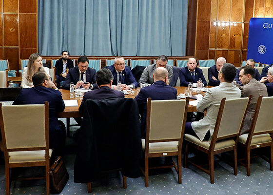 guvern administratia publica