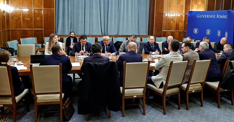 guvern administratia publica