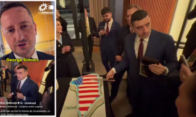 nicu stefanuta simion