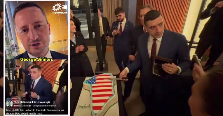 nicu stefanuta simion