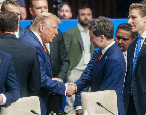 Nicusor Dan Donald Trump