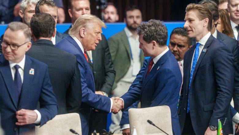 Nicusor Dan Donald Trump