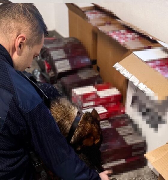 WhatsApp Image at .. ()