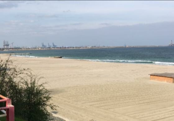 licitatie plaja navodari