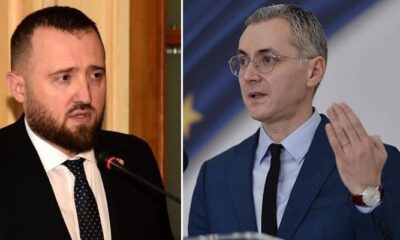 voineag dna stelian ion