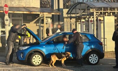 actiune politia constanta