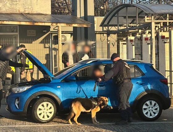 actiune politia constanta