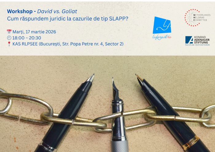 atelierul David vs Goliat