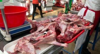 Până pe 11 aprilie, medicii veterinari fac controale în piețe și în centrele de tăiere a mieilor/iezilor