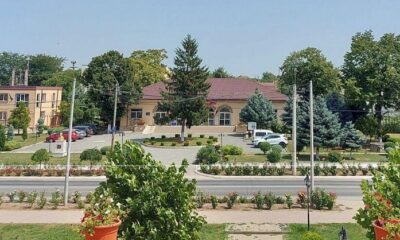 primaria mihail kogalniceanu