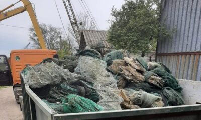 bunuri distruse arbdd